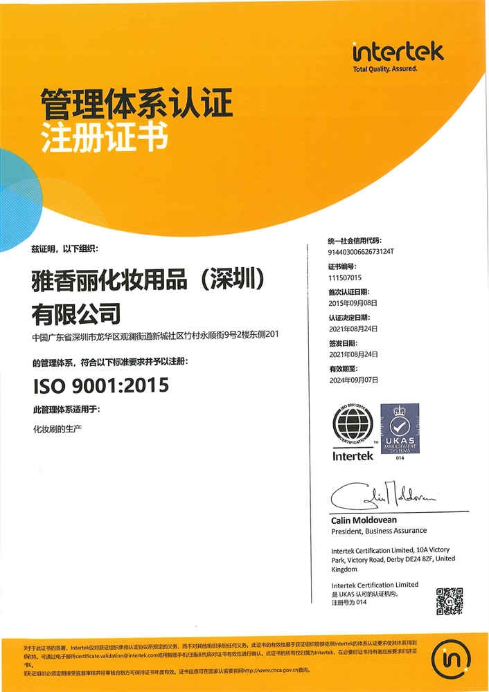 ISO9001：2015 中文